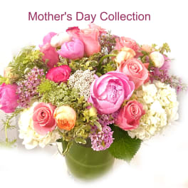 Mother's Day Collection - Spring Opulence
