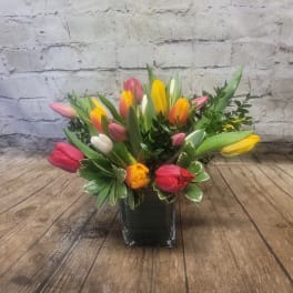 Colorful tulip arrangement in a square glass vase