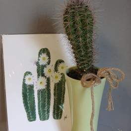 Cactus Set with Photo