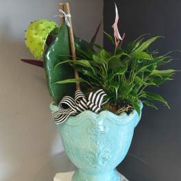 Paddle + Anthurium