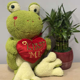 Plush frog holding a heart beside a potted bamboo plant