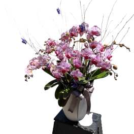 Botanical Bliss