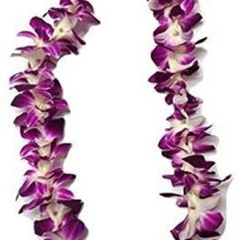 Purple and white orchid lei on a white background