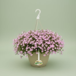 Hanging basket