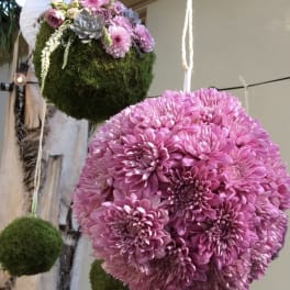 Hanging pink chrysanthemum spheres with moss-covered accents
