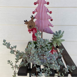 Succulent planter with a striped tree topper and small reindeer decoration