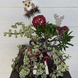 Potted succulent arrangement with holiday owl and reindeer decorations