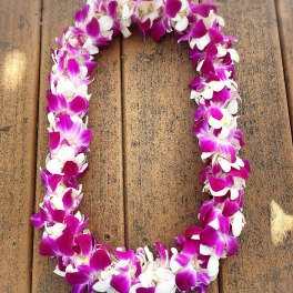 Graduation Orchids Lei (Purple and White)