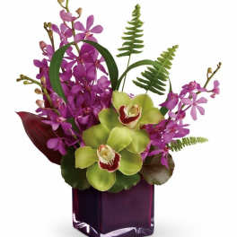 Orchid Paradise Cube