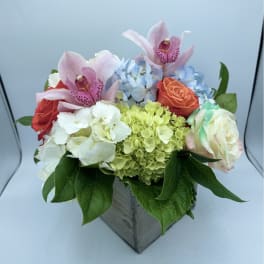 Weekly Special
