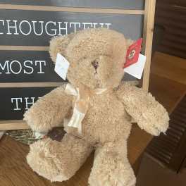 10” Teddy Bear