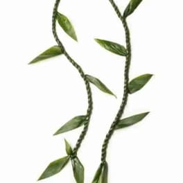 Braided green vine garland with scattered leaves on a white background