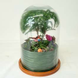 Small terrarium under a glass dome with a miniature plant and decorative bird