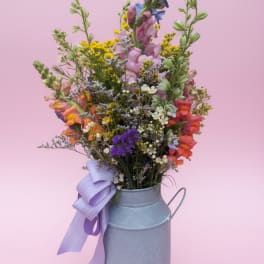 The Quiet Meadow
