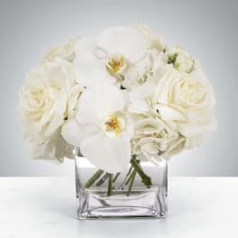Linen by BloomNation™