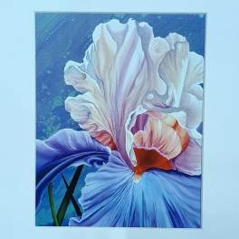Framed painting of a large iris flower in blue and white tones