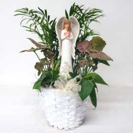 Potted plant arrangement in a white basket with an angel figurine
