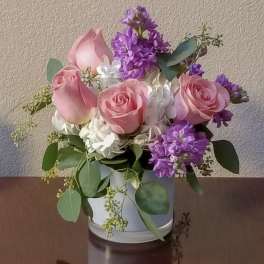 Soft and Pretty