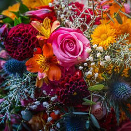 Designer's Choice Bouquet