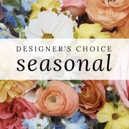 Designer’s Choice 