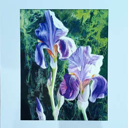 Two purple and white iris blooms against a dark green background