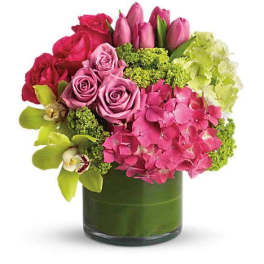 New Sensations Flower