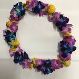 Lei 27