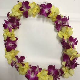 Lei 28
