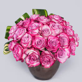Rose Gala