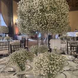 Baby’s breath