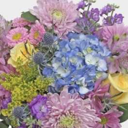 Mother's Day Designer's Choice