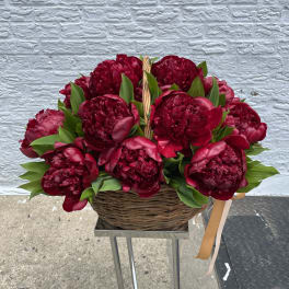 Peonies Large Bouquets