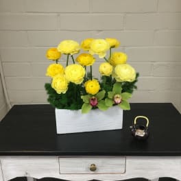 Totally Ranunculus!