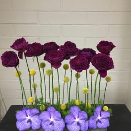 Purple Haze
