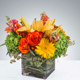 Citrus Splash by BloomNation™