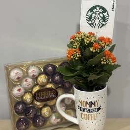 Mommy Needs Coffee Trio