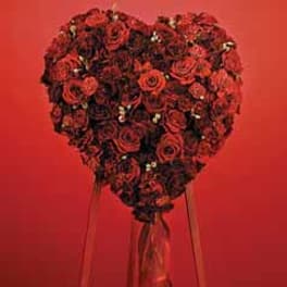 SF74-11 Monochromatic Red Rose Heart Easel