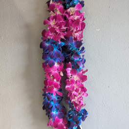 Two-tone orchid lei in pink, purple, and blue