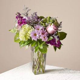 Lavender Bliss
