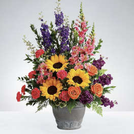 Colorburst Blooms
