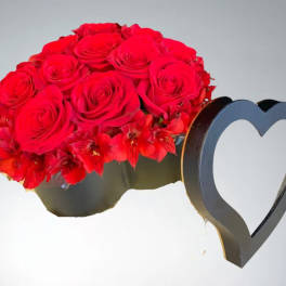 Black & Red Elegance by D'Lily's Flowers
