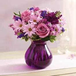 Lavender Dreams