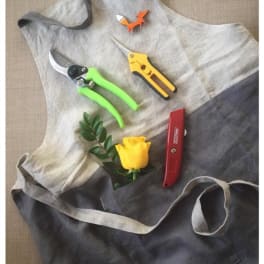 Floral apron with pruning shears, a yellow rose, and a small fox pin
