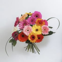 Bouquet of colorful gerbera daisies with long leaves