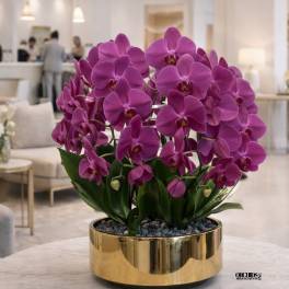 Purple orchids arranged in a gold bowl planter