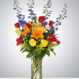 Ravishing Rainbow by BloomNation™