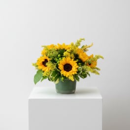Sunflower Field