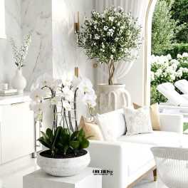 Expressive Orchid Miami