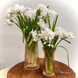 Think Spring