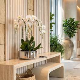 Fleur Orchid Miami